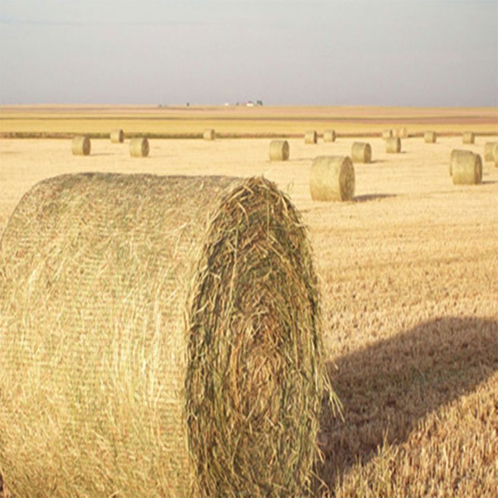 Biologisch abbaubares HDPE-Ballenwickelnetz für die Landwirtschaft